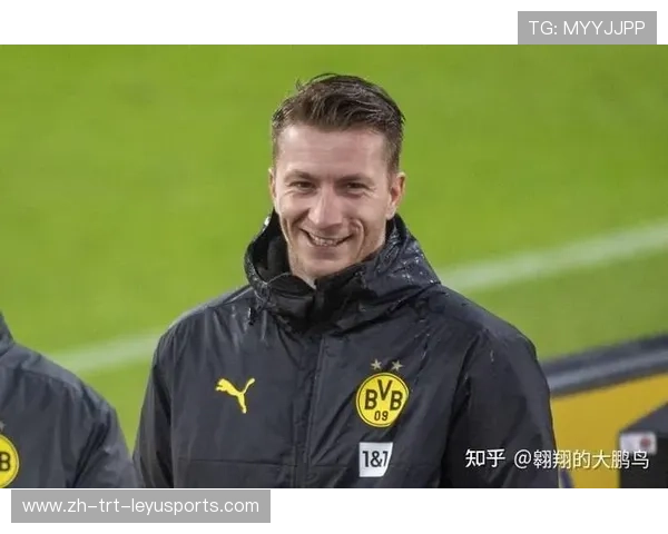 德甲球队英文缩写“SHK”的含义及应用